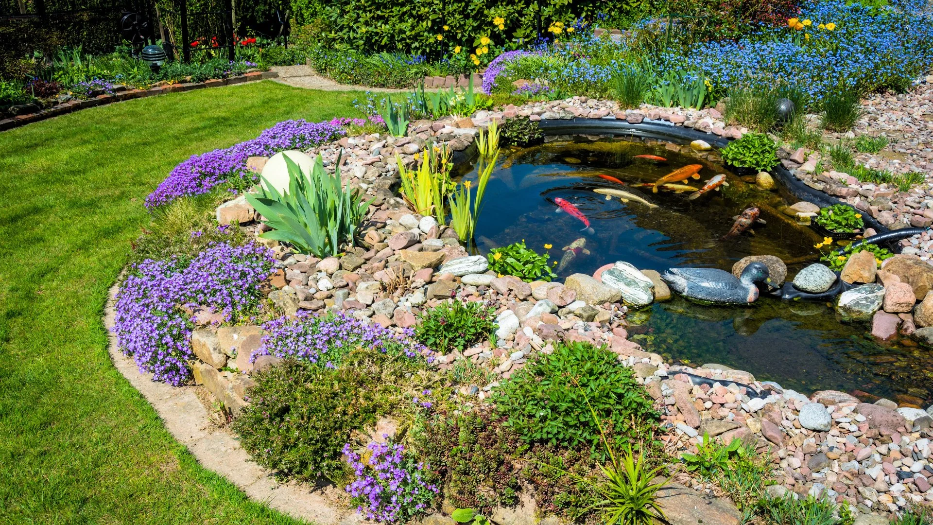 • Front Yard Design • Lawn Mulching • Patio Design Removing Algae from your Koi Pond by Bellantoni Landscape