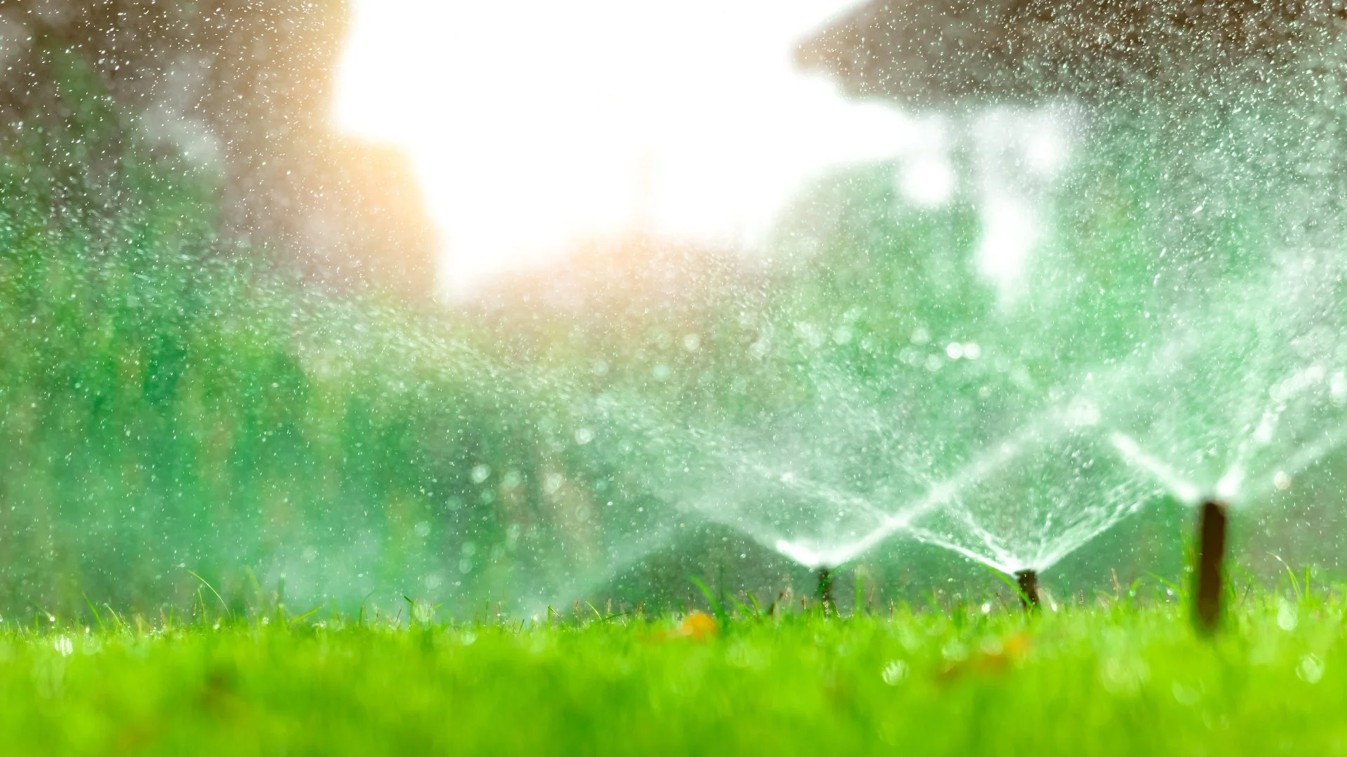 • Lawn Care • Lawn Sprinkler System • Patio Pavers Tips For Turning Your Yard Into An English-Style Garden