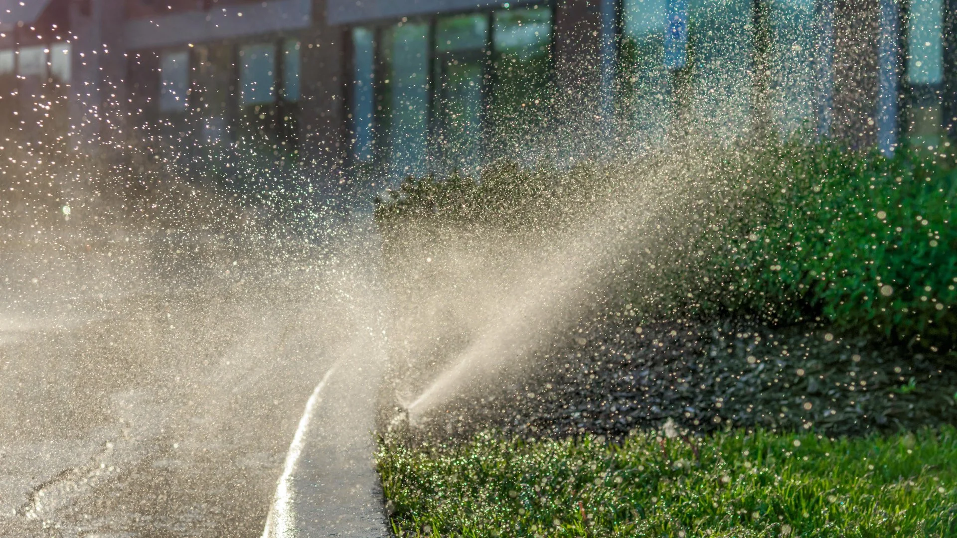 • Lawn Sprinkler System • Patio Design Explore Various Tips for Promoting a Greener Lawn