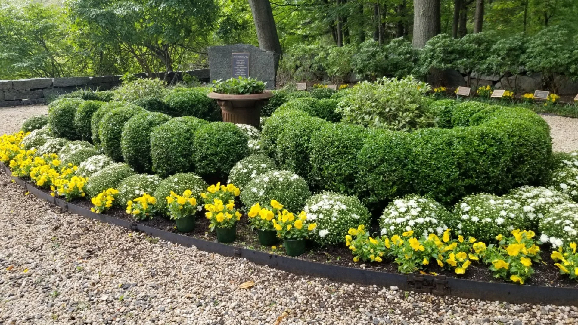 Discover Winter Pruning Benefits for Your Landscape