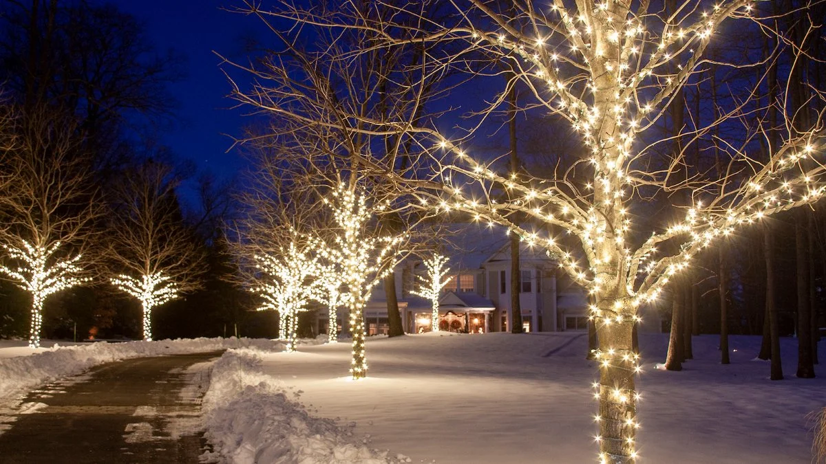 • Landscape Architecture • Landscape Lighting • Landscaping Discover Popular Landscape Lighting Ideas