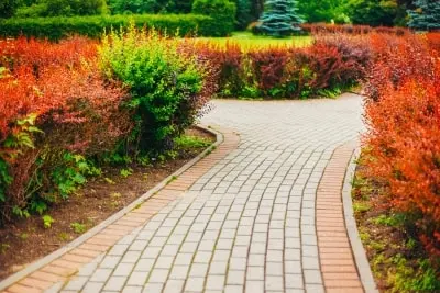 Getting Your Landscaping Ready For Summer