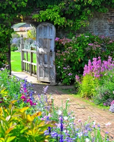 Tips For Turning Your Yard Into An English-Style Garden