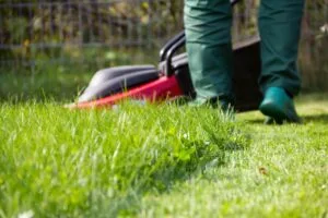 Importance of Weekly Landscaping Maintenance