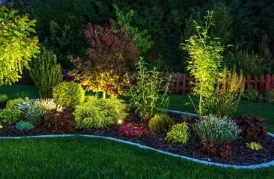 A Look At Some Popular Landscape Lighting Ideas