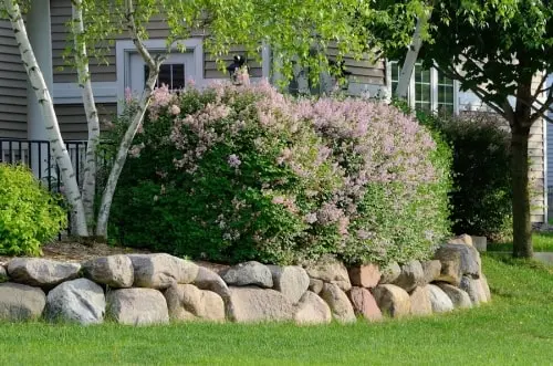 All About Landscaping Rocks by Bellantoni Landscape