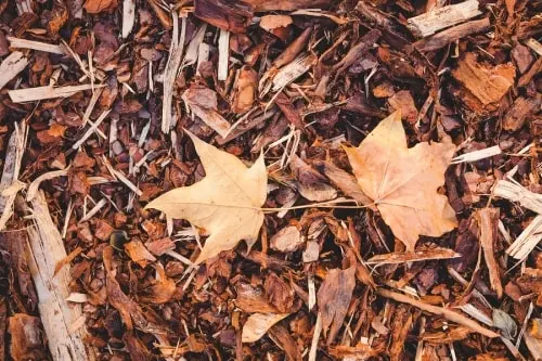 The Benefits Of Leaf Mulching at Bellantoni Landscape