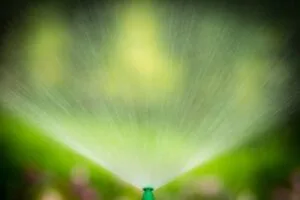 Discover Top Reasons to Install a Sprinkler System