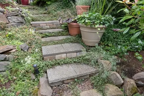 Ideas for Unique Stepping Stones by Bellantoni Landscape