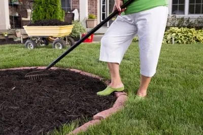 Essential Tips to Prepare Your Garden for Summer