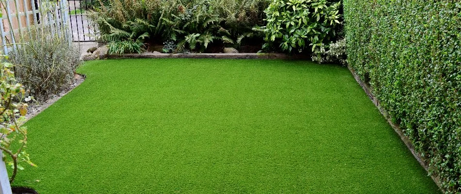 Artificial turf next to landscaping on a property in White Plains, NY.