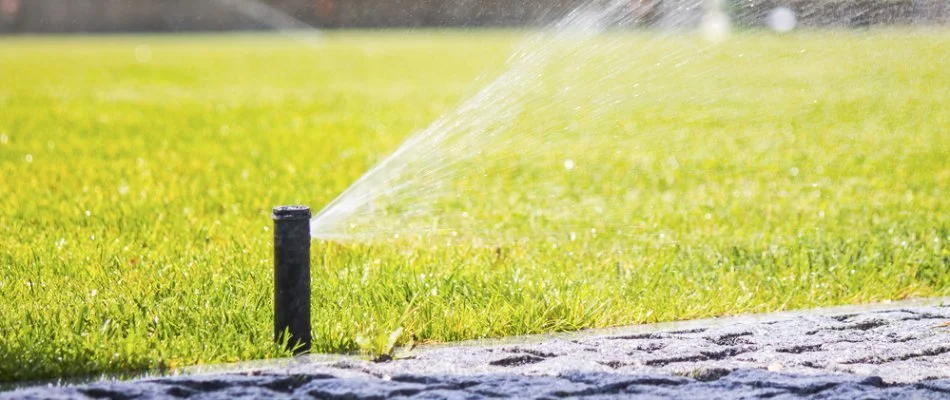 Black sprinkler head spraying water on a lawn in White Plains, NY.