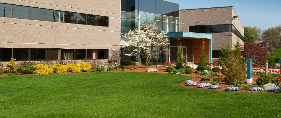 Commercial property with green lawn and nice landscaping in White Plains, NY.