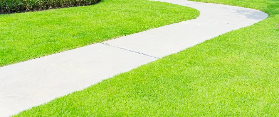 Concrete walkway with green grass in White Plains, NY.