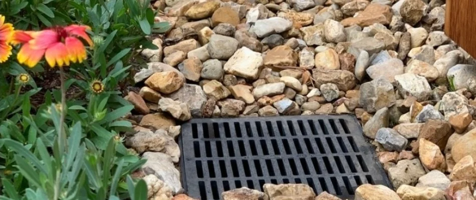 Dry creek bed in White Plains, NY, with a drain grate.