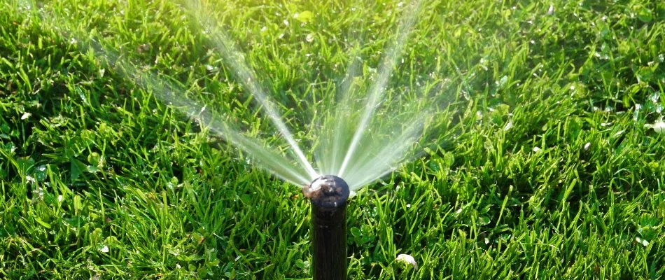 Grass in White Plains, NY, receiving water from a sprinkler head.