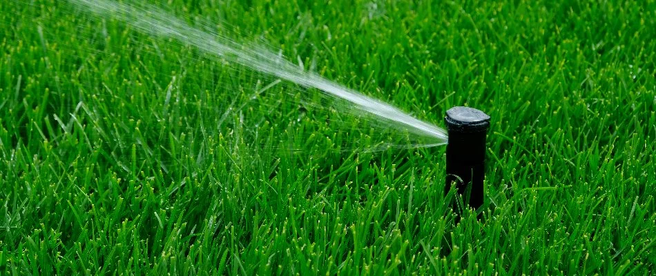 Green lawn in White Plains, NY, with a sprinkler head spraying water.