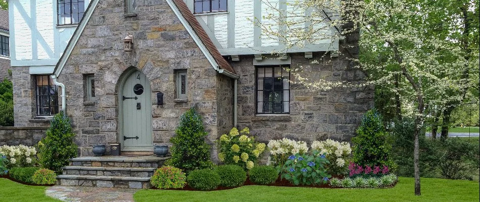 Healthy shrubs and small tree in front of a home in White Plains, NY.