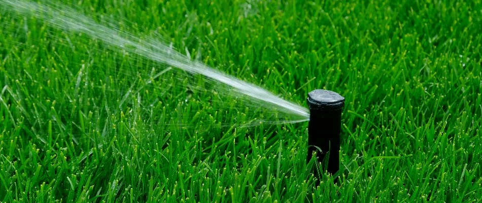 Irrigation system sprinkler head on a thick lawn in White Plains, NY.