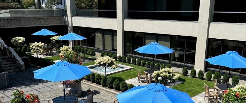 Landscaping on a courtyard of a commercial property in Greenwich, CT.