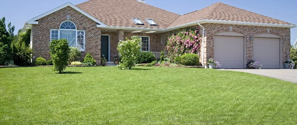 Lawn with plants and shrubs in front of a house in White Plains, NY.