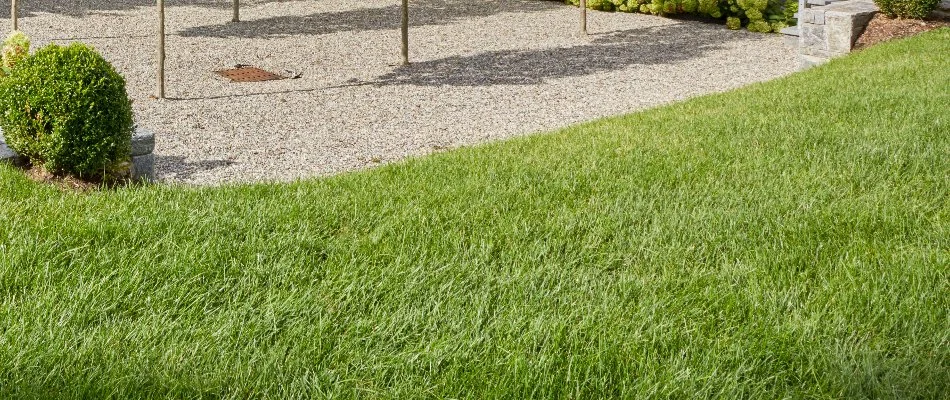 Lush grass along a gravel patio in White Plains, NY.