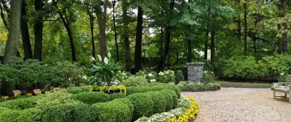 Lush, green trees and shrubs on a landscape in Greenwich, CT.