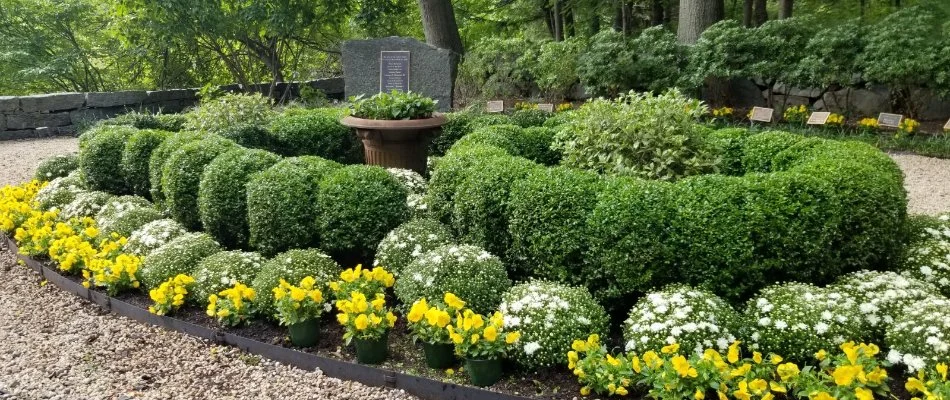 Manicured shrubs and colorful flowers in White Plains, NY.