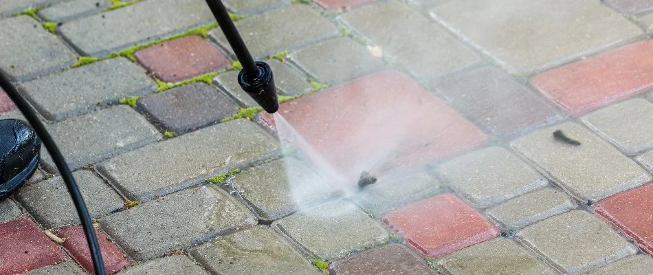 Pavers being pressure washed in White Plains, NY.