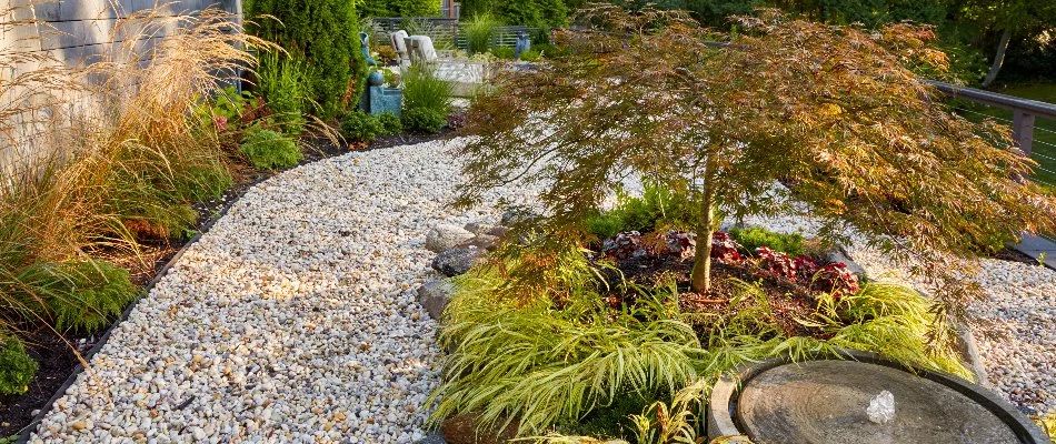 Plant beds along a gravel path in White Plains, NY.