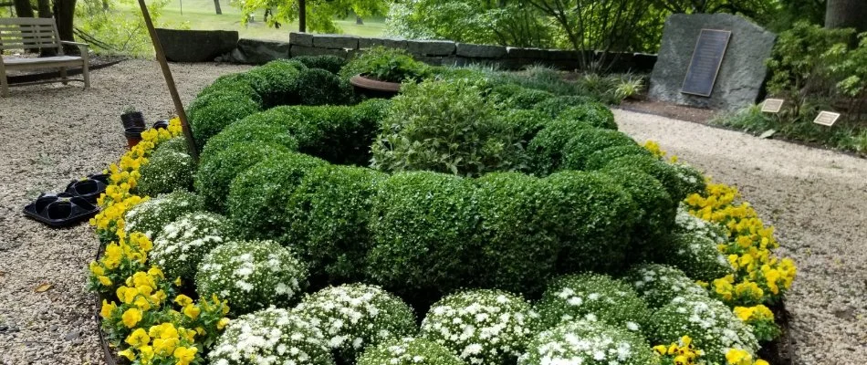 Trimmed bushes and colorful plants in White Plains, NY.