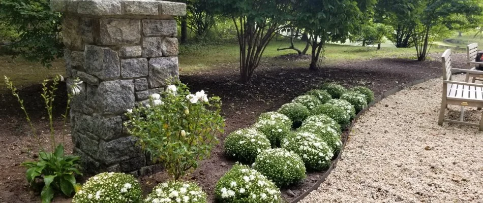 Shrubs and trees in a landscape bed in %%targetarea1%%, NY.