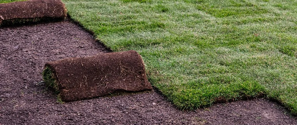 Sod being installed in White Plains, NY.