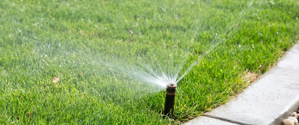 Sprinkler head on a lawn in Greenwich, CT.