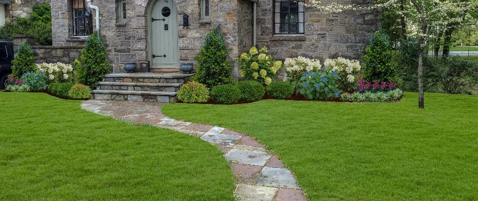 Walkway through a lawn in White Plains, NY, and colorful plants.