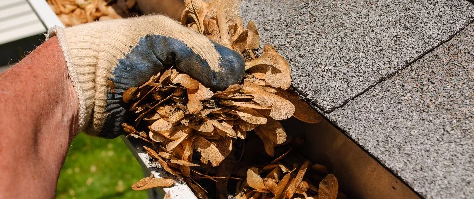 Worker pulling leaves out of a gutter in White Plains, NY.