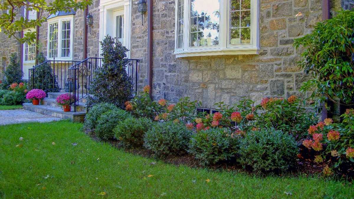 • Landscape Design • Landscaping Landscaping Ideas For Full And Partial Sun Areas