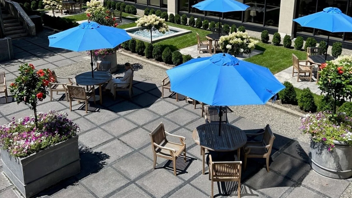 Commercial Pest Control