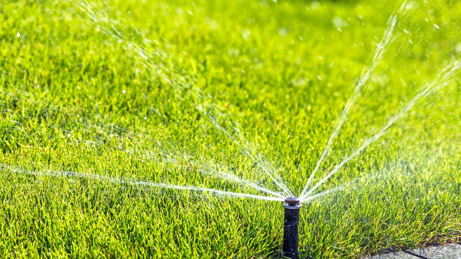 Landscape Bed Weed Control