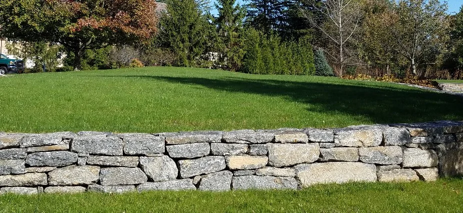 Beautiful Landscaping