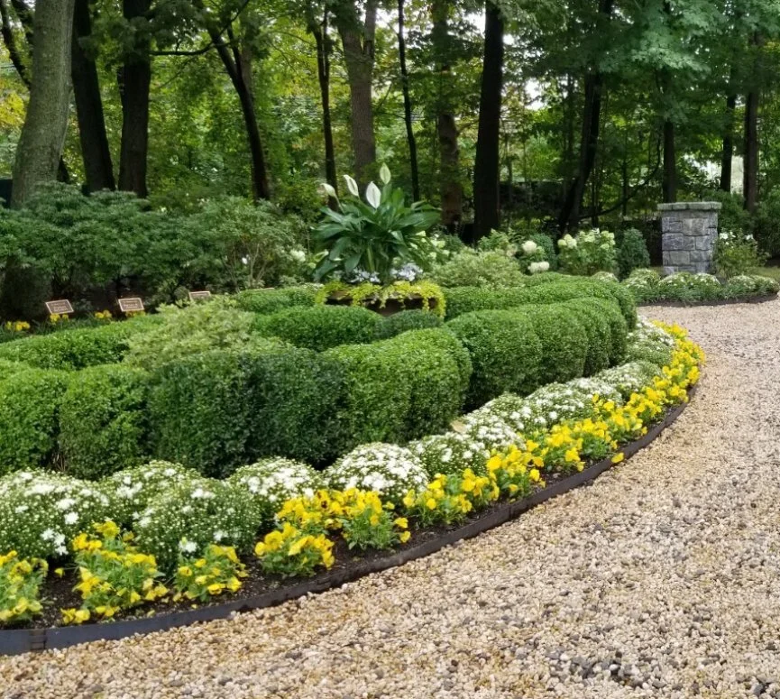 • Lawn Mulching Tips for keeping your Lawn Healthy in Fall