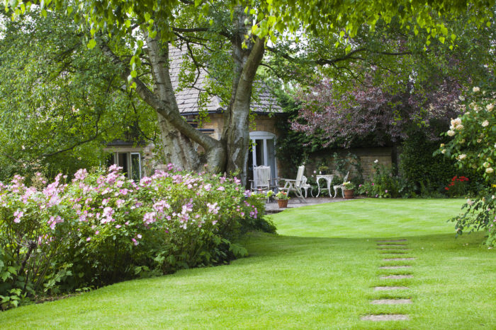 Curb Appeal 101: Hardscaping vs. Landscaping